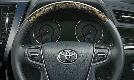 Toyota Alphard 2.5S A PACKAGE TYPE BLACK (AGH30W)