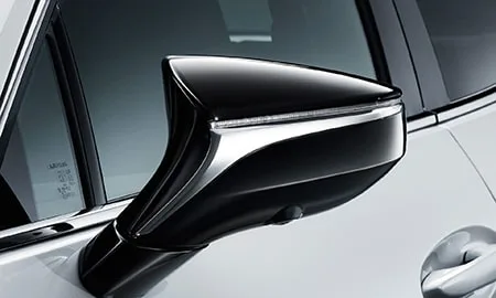 Lexus UX250H ELEGANT BLACK (MZAH10)