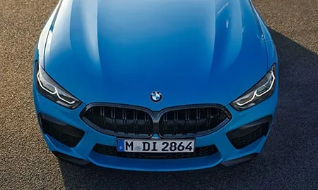 Bmw M8 COUPE COMPETITION (AE44M)