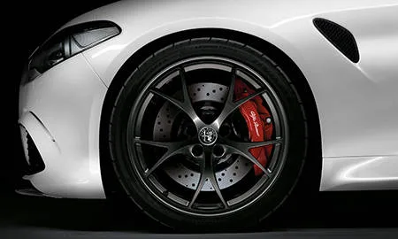 Alfa Romeo Giulia QUADRIFOGLIO CARBONIO (95220 / 95229)