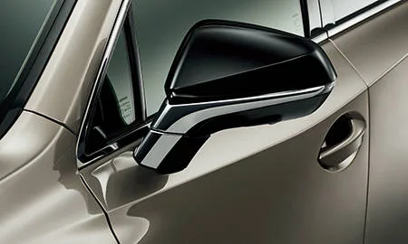 Lexus NX300 BRONZE EDITION (AGZ15)
