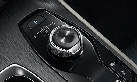 Lexus RZ450E VERSION L (XEBM15)