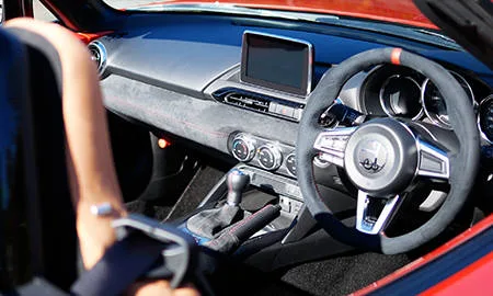 Mitsuoka Himiko S SPECIAL PACKAGE ()