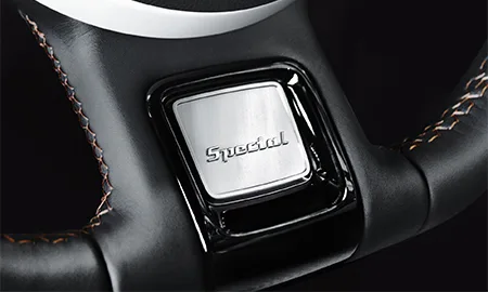 Volkswagen The Beetle SPECIAL BUG (16CBZ)