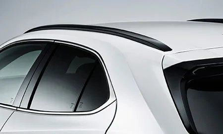 Lexus UX250H ELEGANT BLACK (MZAH10)