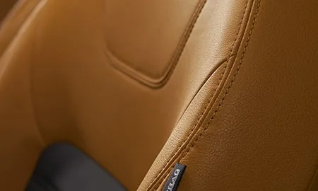 Nissan Kicks X TWO TONE INTERIOR EDITION (P15)