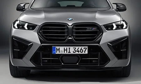 Bmw X6 M COMPETITION (12ET44)