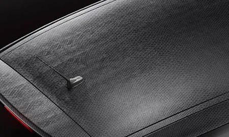 Citroen DS3 BLACK LEZARD (A5C5G01 / A5CHN01)