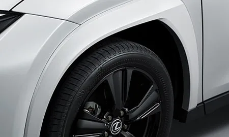 Lexus UX250H ELEGANT BLACK (MZAH10)