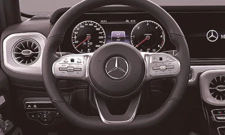 Mercedes Benz Gclass G350D MANUFAKTUR EDITION (463349)