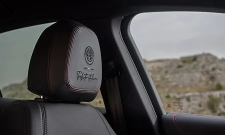 Alfa Romeo Stelvio 2.0 TURBO Q4 TRIBUTO ITALIANO (94920 / 94929)