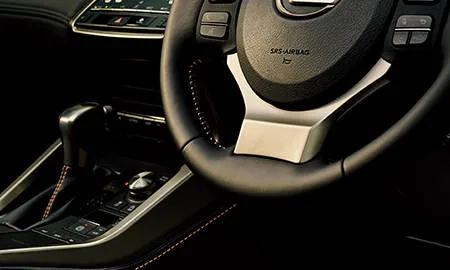 Lexus NX300 BRONZE EDITION (AGZ15)