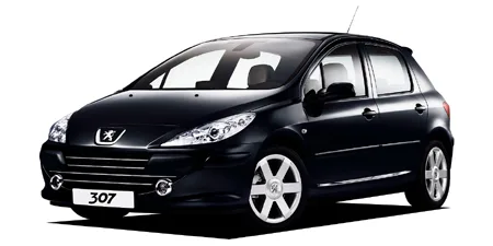 Peugeot 307 FELINE 2.0S (T5RFJ)
