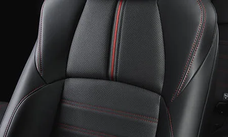 Toyota RAV4 Phv BLACK TONE (AXAP54)