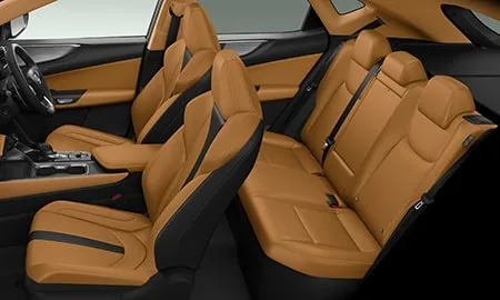 Lexus NX350H OVERTRAIL (AAZH25)