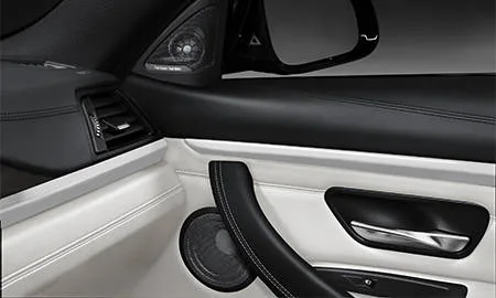 Bmw M4 COUPE INDIVIDUAL EDITION (3C30)