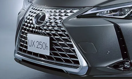 Lexus UX250H F SPORT EMOTIONAL EXPLORER (MZAH15)