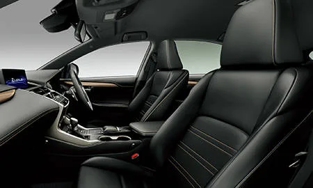 Lexus NX300 BRONZE EDITION (AGZ15)