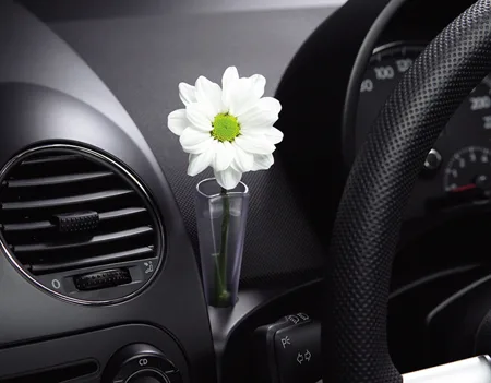 Volkswagen New Beetle LZ (9CAZJ)