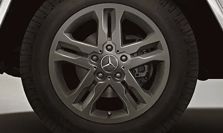Mercedes Benz Gclass G550 DESIGNO MAGNO EDITION (463234)