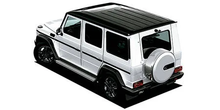 Mercedes Benz Gclass G350 BLUETEC EDITION ZEBRA (463346)