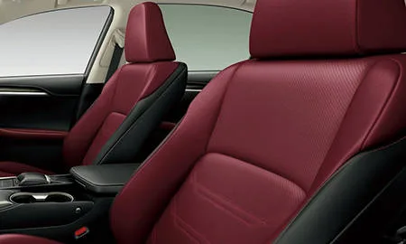 Lexus NX300H I PACKAGE (AYZ10)