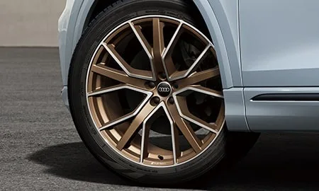 Audi Q8 BRONZE EDITION (F1CVMA / F1CVMS)