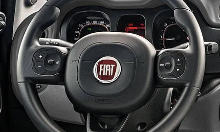 Fiat Panda 4X4 SUCCOSA (13909)