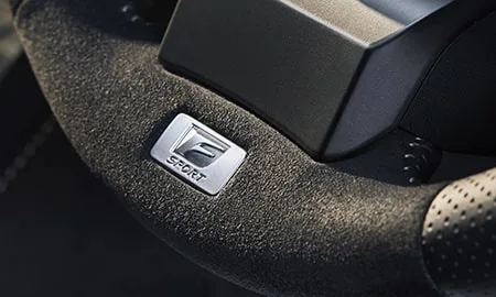 Lexus IS500 F SPORT PERFORMANCE (USE30)