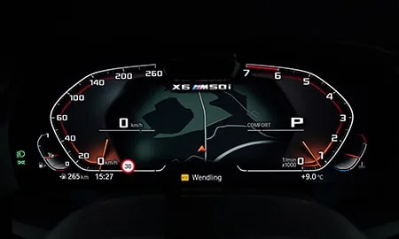 Bmw X6 X DRIVE 35D M SPORT (GT30)