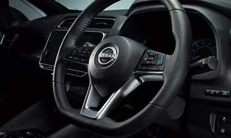 Nissan Leaf e+ G (ZE1)