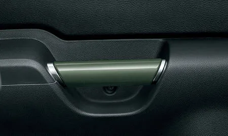 Suzuki Ignis F LIMITED (FF21S)
