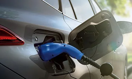 Toyota Harrier Phev Z (AXUP85)