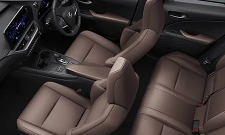 Lexus UX300H GRACEFUL EXPLORER (MZAH11)