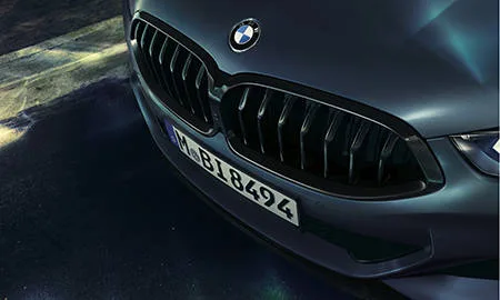 Bmw 8 Series M 850i X DRIVE COUPE FIRST EDITION (BC44)