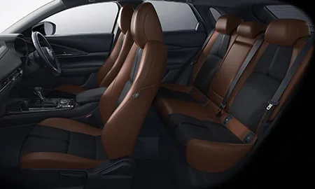 Mazda CX30 20S RETRO SPORTS EDITION (DMEJ3R)