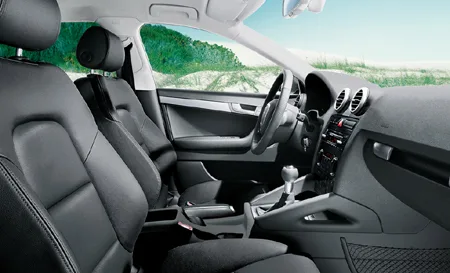 Audi A3 2.0FSI (8PBLR)