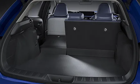 Lexus UX300E VERSION L (KMA10)
