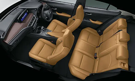 Lexus UX250H BROWN EDITION (MZAH10)
