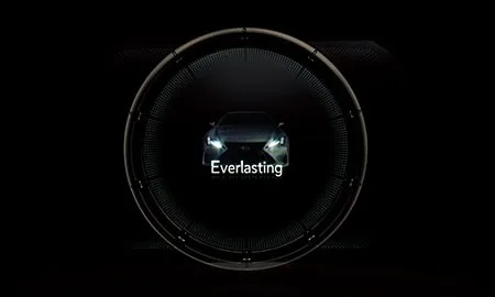 Lexus RC300 FINAL EDITION (ASC10)