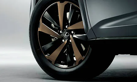 Lexus NX300H SPICE&CHIC (AYZ10)