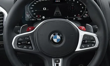 Bmw M8 COUPE COMPETITION (AE44M)