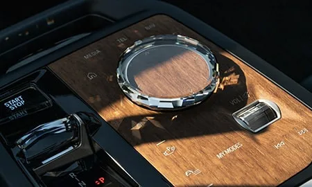 Bmw IX M60 (31CF93A)