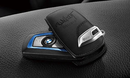 Bmw X3 BLACKOUT (WX20 / WY20)