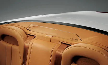 Lexus LC500 CONVERTIBLE (URZ100)