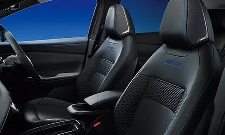 Nissan Leaf AUTECH B5 (ZE2)