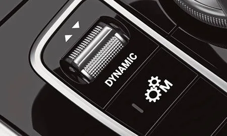 Mercedes Benz Gclass G550 (463260)