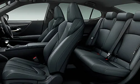 Lexus ES300H F SPORT (AXZH10)