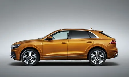 Audi Q8 55TFSI QUATTRO (F1DCBS)