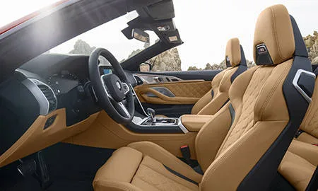 Bmw M8 CABRIOLET (AE44M)